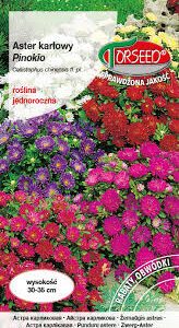 Kininiai ratiliai žemaūgiai 'PINOKIO' 0,3 g T.