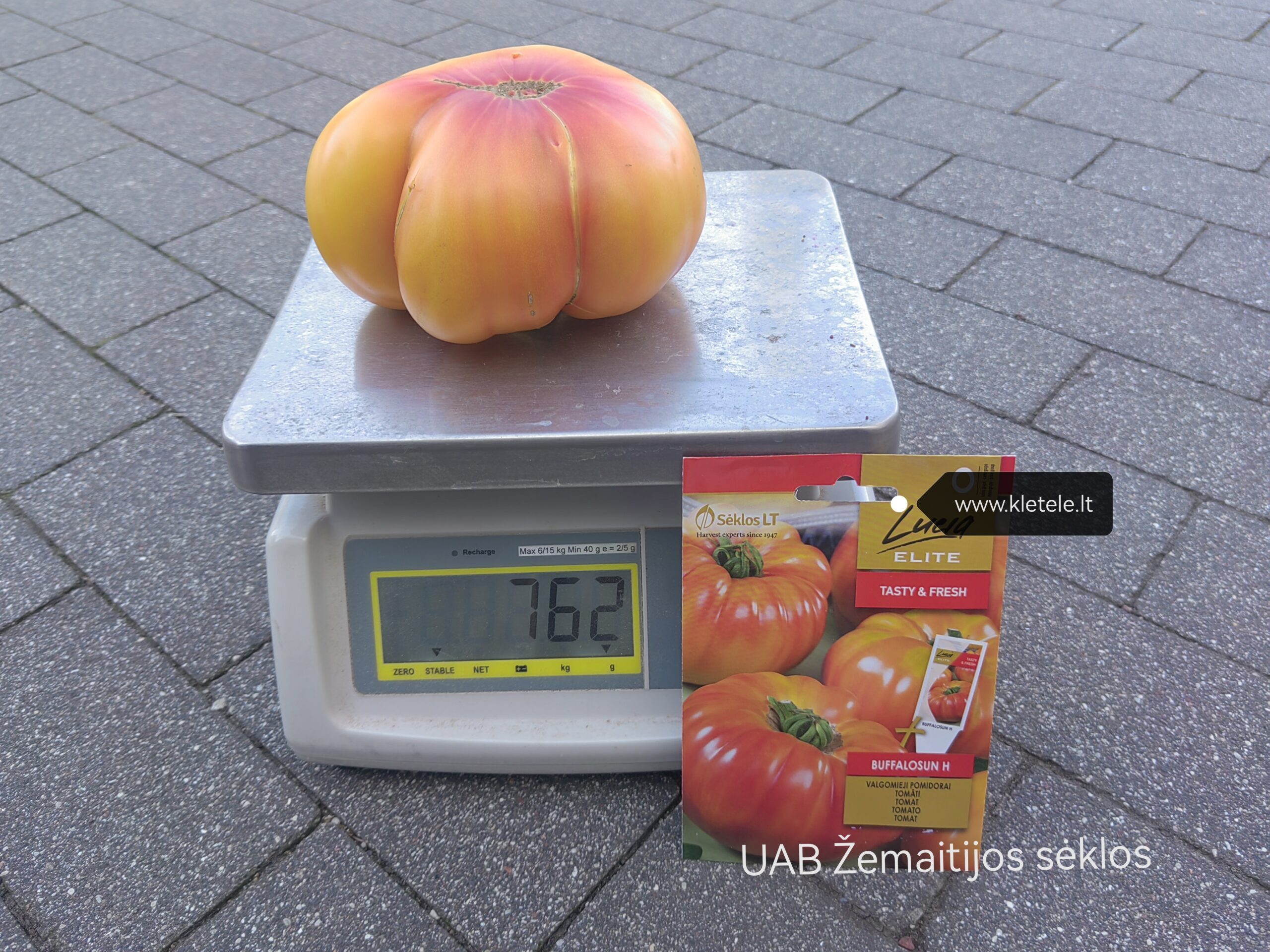 Pomidorai stambūs, geltonai raudoni 'BUFFALOSUN H' 10 sėklų Elite Pomidorai stambūs, geltonai raudoni 'BUFFALOSUN H' 10 sėklų Elite