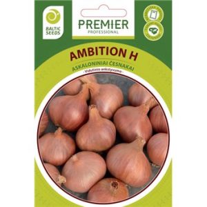 Askaloniniai česnakai - daugializdžiai svogūnai rausvu lukštu 'AMBITION H' 75 sėklos BS