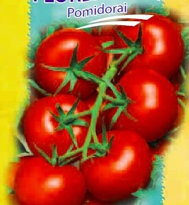 Ankstyvi pomidorai panašūs į 'Tamaris', atsparūs ligoms 'FLORENZIA F1' 10 sėklų S.