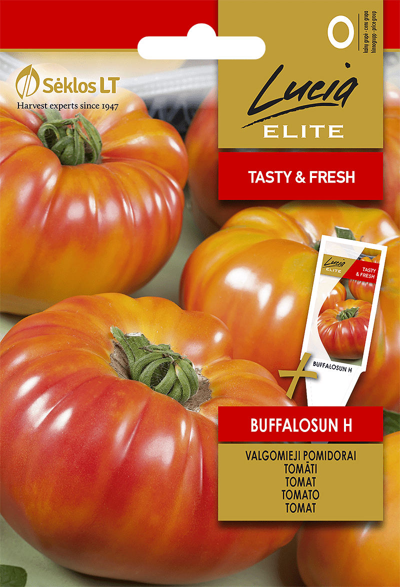 Pomidorai stambūs, geltonai raudoni 'BUFFALOSUN H' 10 sėklų Elite Pomidorai stambūs, geltonai raudoni 'BUFFALOSUN H' 10 sėklų Elite
