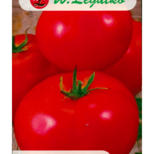 Pomidorai nehibridiniai žemi, labai ankstyvi, laukui 'PROMYK' 0,5 g (Naudinga pakuotė) L.