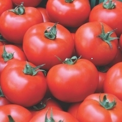 Brooklyn_pomidorai
