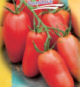 Pomidorai ankstyvi ovalūs, gausios kekės 'DARTAGNAN F1' 10 sėklų S. NAUJIENA 2022 m.
