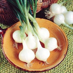de barletta-white-onion lėkšteje