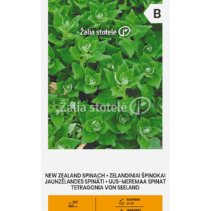 Zelandiniai špinokai, špinatų pakaitalas vasarai - rudeniui 2 g A.