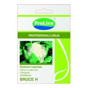 Žiediniai kopūstai ankstyvi, sniego baltumo, uždaros ‘BRUCE H’ 15 sėklų SG.