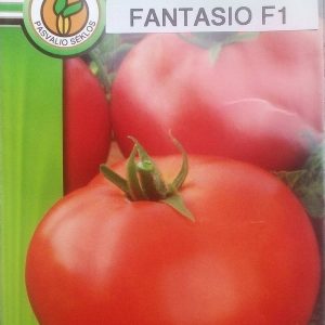 Pomidorai atsparūs marui aukšti 'FANTASIO F1' 10 sėklų PS.