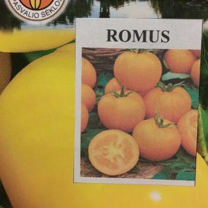 Pomidorai nehibridiniai geltoni, aukšti, tinka ir laukui 'ROMUS' 0,2 g PS