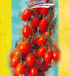 Pomidorai vyšniniai slyviniai, ankstyvi, labai skanūs 'MANDAT F1' 8 sėklos S.