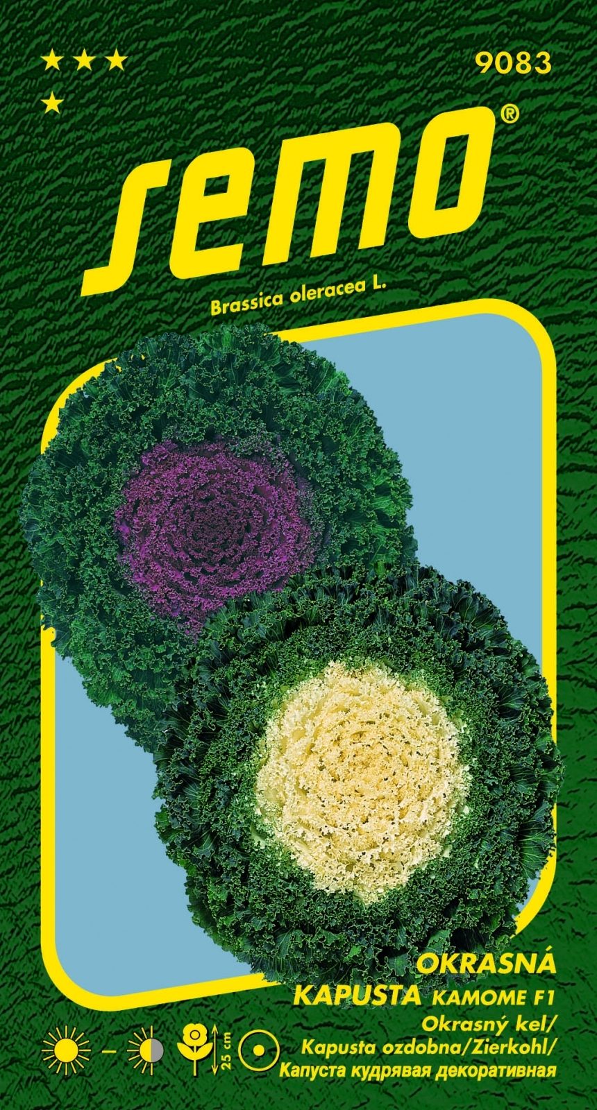 Kopūstai dekoratyviniai žemi garbanoti, su purpuriniu ir baltu viduriu ‘KAMOME F1 MIX’ 20 sėklų SM. Kopūstai dekoratyviniai žemi garbanoti, su purpuriniu ir baltu viduriu ‘KAMOME F1 MIX’ 20 sėklų SM.