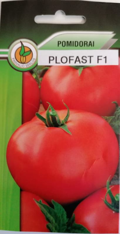 Pomidorai labai ankstyvi žemi 'POLFAST H' 20 sėklų PS