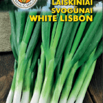 svogūnai laiškams White Lisbon