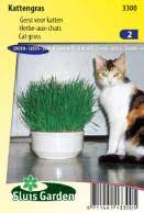 žolė katėms paprastasis miežis