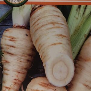 Pastarnokai ilgi balti 'KAMO' 3 g PS