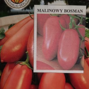 Pomidorai nehibridiniai žemi, avietiniai, pailgi su „snapeliu“, skanūs 'MALINOWY BOSMAN' 0,1 g PS