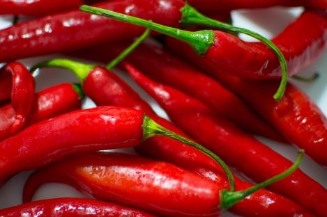 Aštriosios paprikos, vidutinio ankstyvumo, labai aštrios, konservavimui, džiovinimui 'DE CAYENNE' 30 sėklų PS. Aštriosios paprikos, vidutinio ankstyvumo, labai aštrios, konservavimui, džiovinimui 'DE CAYENNE' 30 sėklų PS.