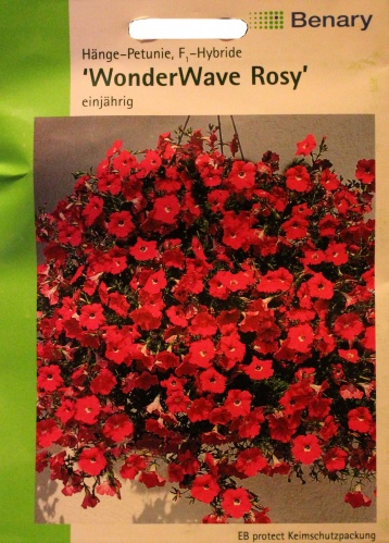Petunijos svyrančios surfinijos Wonderwave Rosy F1