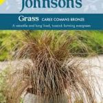 viksvos Carex comans Bronze