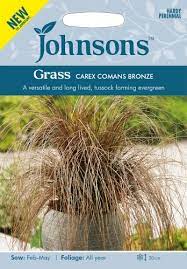 Viksvos daugiametės 'BRONZE' (Carex comans) 40 sėklų J. NAUJIENA 2022 m.