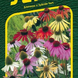 Ežiuolių mišinys 'PARADISO' 12 sėklų SM.