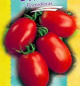Žemaūgiai pailgi pomidorai 'DYNO F1' 15 sėklų S.