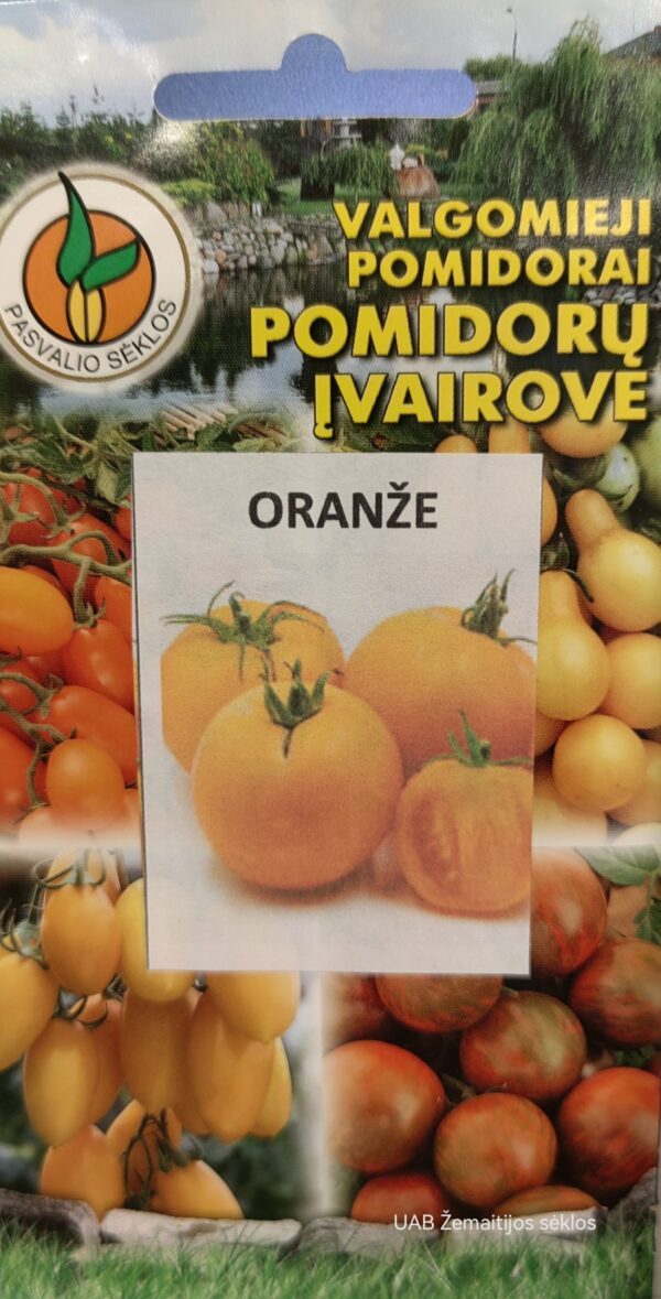 Pomidorai vidutinio aukščio nehibridiniai oranžiniai 'ORANŽE' 0,1 g PS.