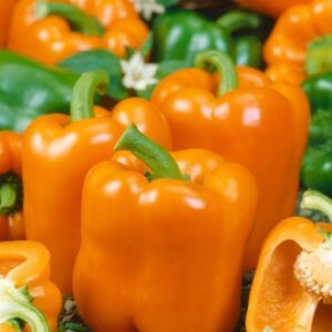 Paprikos saldžiosios oranžinės, vidutinio ankstyvumo, derlingos 'KUBISTA F1' 10 sėklų PS. Paprikos saldžiosios oranžinės, vidutinio ankstyvumo, derlingos 'KUBISTA F1' 10 sėklų PS.