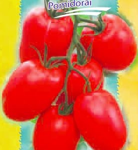 Pomidorai pailgi, gausios kekės 'BESTIAL F1' 10 sėklų S.