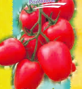 Pomidorai avietiniai ovalūs 'KONGO F1' 10 sėklų S. NAUJIENA 2022 m.