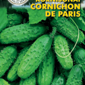 Agurkai nehibridai kornišonai ‘CORNICHON DE PARIS’ 2 g PS NAUJIENA 2022 m.