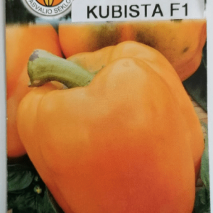 Paprikos saldžiosios derlingos oranžinės 'KUBISTA F1' 20 sėklų PS