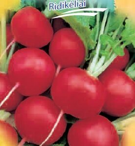 Ridikėliai ankstyvi, plona šaknele, laukui ir šiltnamiui 'MONDIAL' 200 sėklų S.