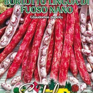 Žemaūgės daržinės margos (baltos su raudonais) pupelės 'BORLOTTO LINGUA DI FUOSO NANO' 50 g S.