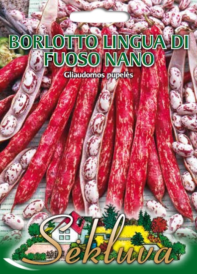 pupelės daržinės žemos Borlotto lingua di Fuoso nano