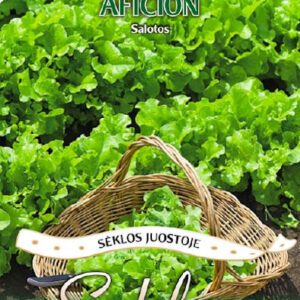 Salotos lapinės, atsparios sužydėjimui 'AFICION' 4 m juostos su sėklomis S.