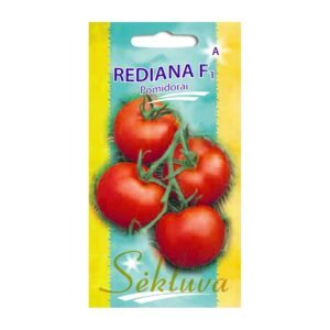 Pomidorai žemi, mėsingais raudonais dideliais vaisiais 'REDIANA F1' 10 sėklų S.