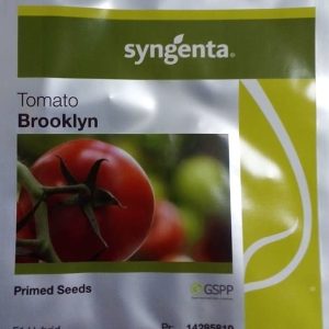 Aukštaūgiai standartiniai pomidorai 'BROOKLYN H' 500 sėklų (Profi pakuotė) SYNGENTA