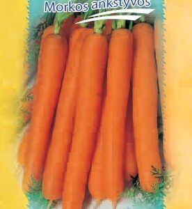 Morkos labai ankstyvos, labai skanios 'JERADA F1' 600 sėklų S.