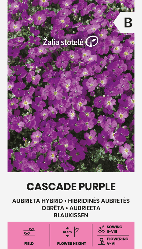 Aubretės Cascade Purple