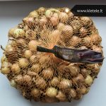 svogūnų sėjinukai Stuttgarter Riesen 1 kg