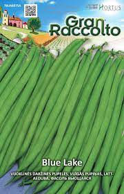 Vijoklinės šparaginės pupelės žalios 'BLUE LAKE' 50 g (Naudinga pakuotė) HOR. NAUJIENA 2022 m.