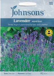 Levandos tikrosios alyvinės 'MUNSTEAD' (Lavandula angustifolia) 150 sėklų J.
