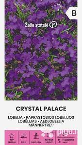 lobelijos Crystal Palace