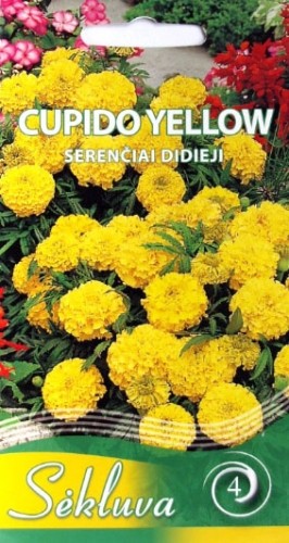 serenciai_cupido_yellow