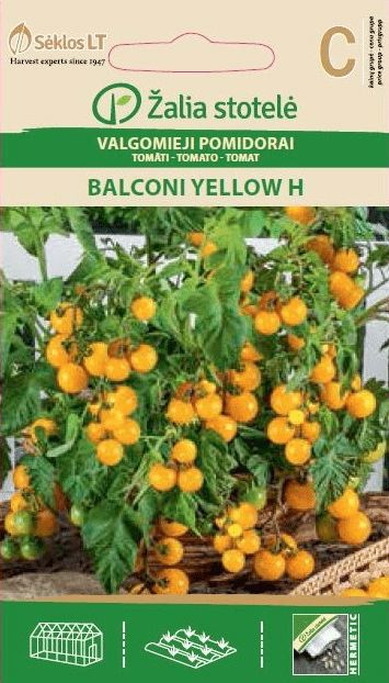 Pomidorai vazoniniai Balkoni yellow H