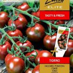 Pomidorai Tigrino smulkiavaisiai