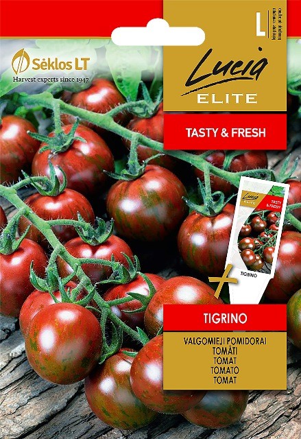 Pomidorai Tigrino smulkiavaisiai