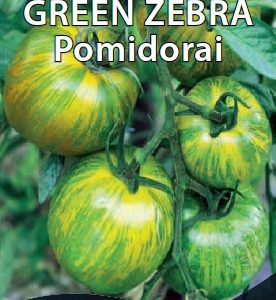 Pomidorai nehibridiniai „dryžuoti" - gelsvai žali su tamsiai žaliais dryžiais 'GREEN ZEBRA' 10 sėklų S.