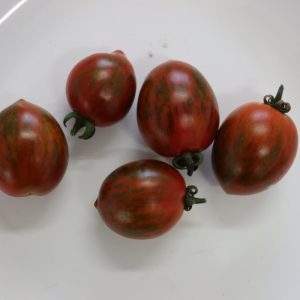 Melange H pomidorai vaisiai